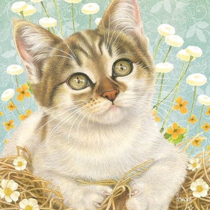 franciens-katten-weeknotitiekalender-2025-femke