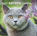 katten-kalender-2025