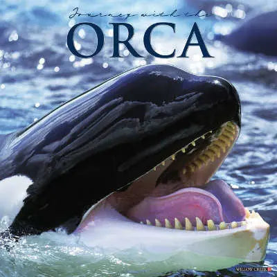 Orca