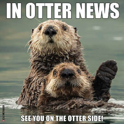 Otter