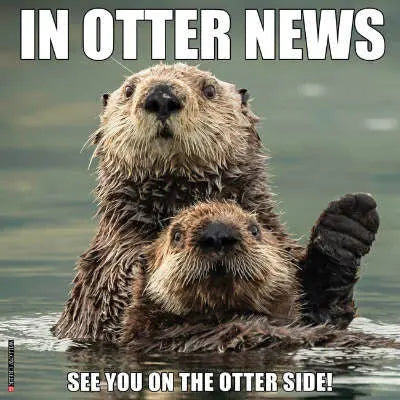 Otter