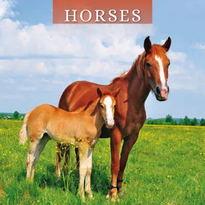 paard