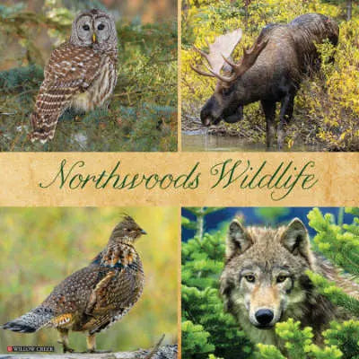 wildlife