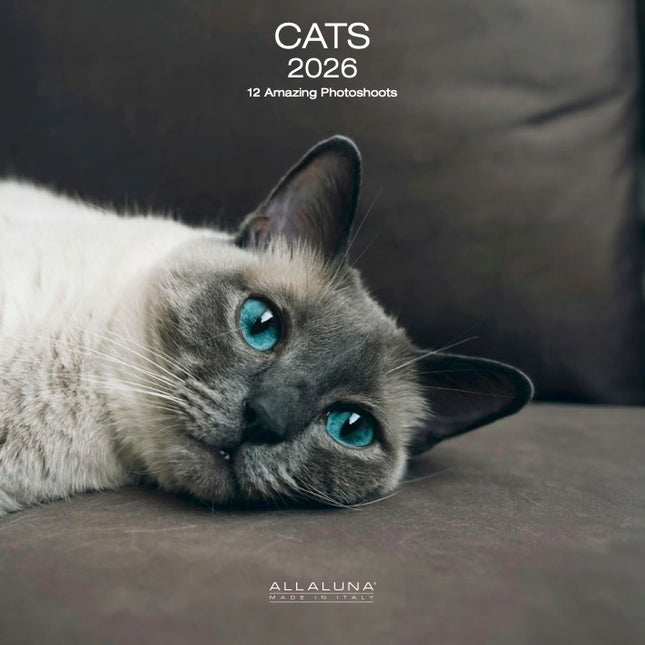 Allaluna Katten Kalender 2026
