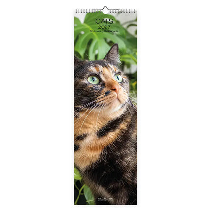 Allaluna Katten Slimline Kalender 2027
