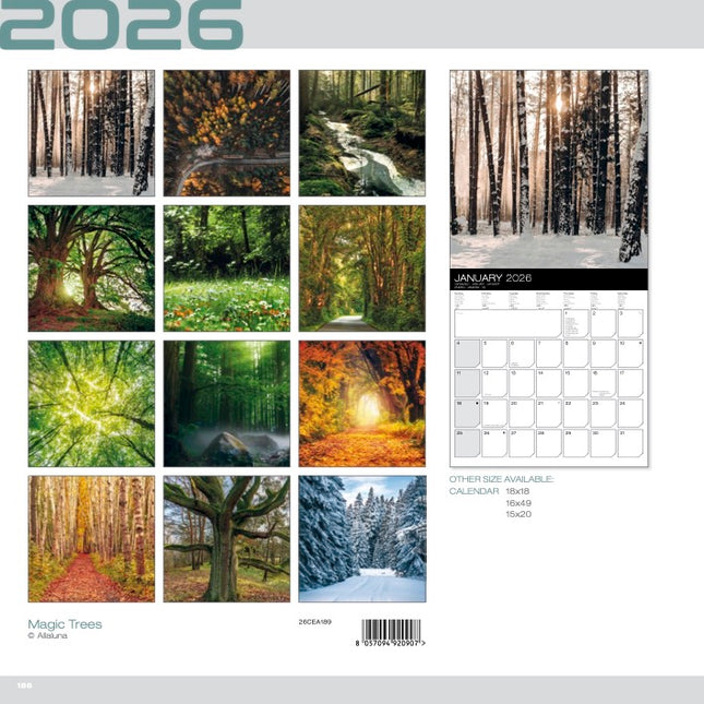 Allaluna Magische Bomen Kalender 2026
