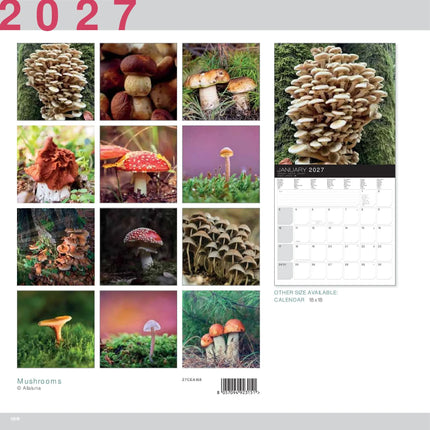 Allaluna Mushrooms Kalender 2027