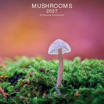 Allaluna Mushrooms Kalender 2027