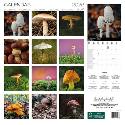 Allaluna Paddenstoelen Kalender 2026