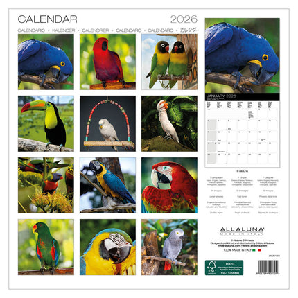 Allaluna Papegaaien Kalender 2026