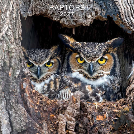 Allaluna Roofvogels Kalender 2027