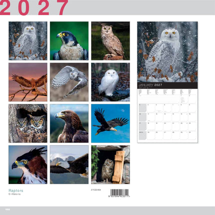 Allaluna Roofvogels Kalender 2027