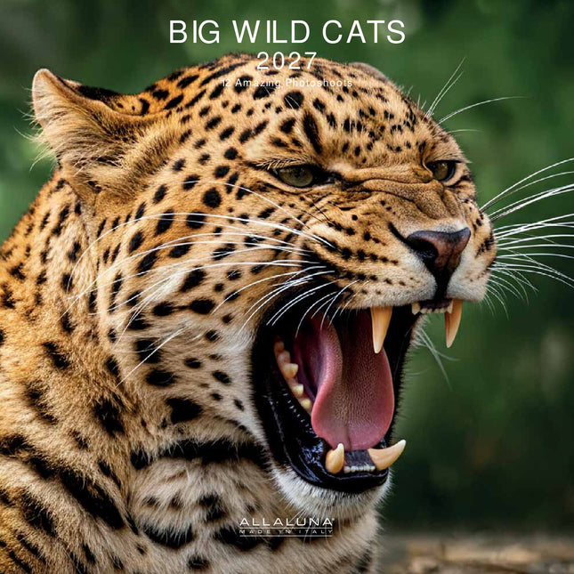 Allaluna Wilde Katten Kalender 2027