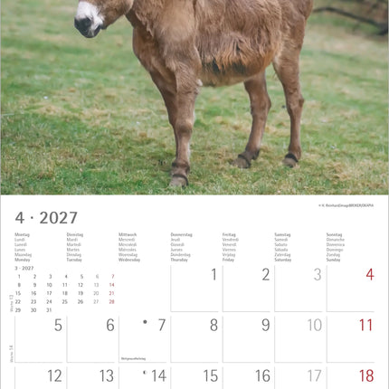 AlphaEdition Dier Vriendschappen Kalender 2027