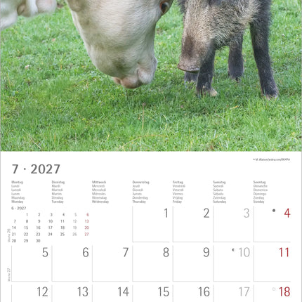 AlphaEdition Dier Vriendschappen Kalender 2027