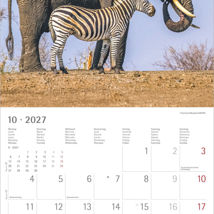 AlphaEdition Dier Vriendschappen Kalender 2027