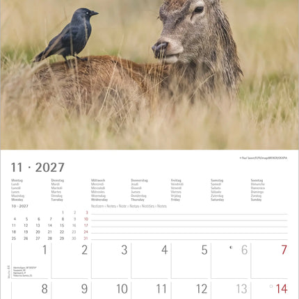 AlphaEdition Dier Vriendschappen Kalender 2027