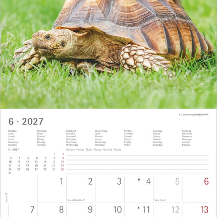 AlphaEdition Dier Vriendschappen Kalender 2027