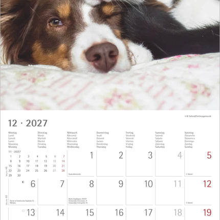 AlphaEdition Dier Vriendschappen Kalender 2027
