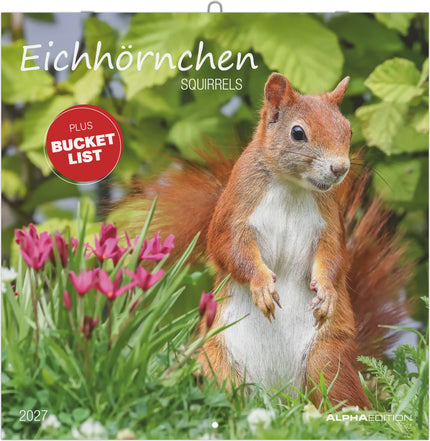 AlphaEdition Eekhoorns Kalender 2027
