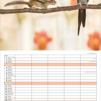 AlphaEdition FamiliePlanner Beste Vrienden Kalender 2027