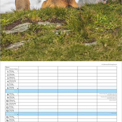 AlphaEdition FamiliePlanner Beste Vrienden Kalender 2027