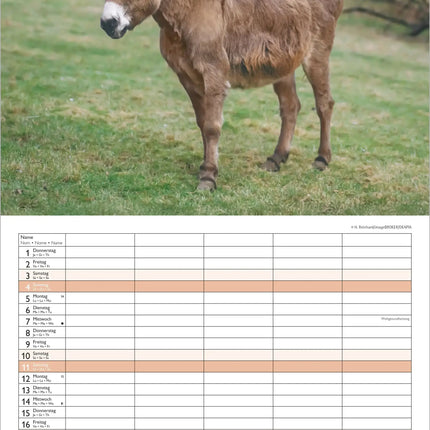 AlphaEdition FamiliePlanner Beste Vrienden Kalender 2027