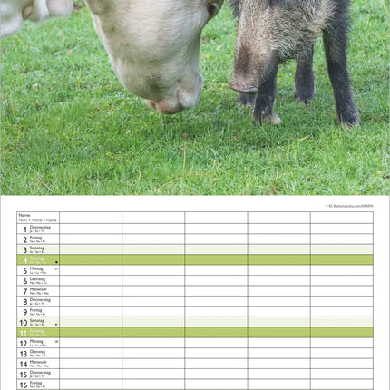 AlphaEdition FamiliePlanner Beste Vrienden Kalender 2027