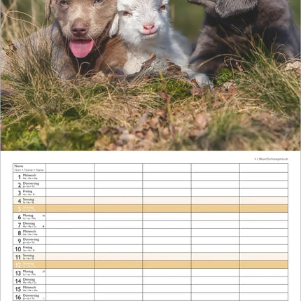 AlphaEdition FamiliePlanner Beste Vrienden Kalender 2027