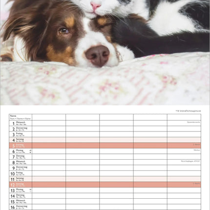 AlphaEdition FamiliePlanner Beste Vrienden Kalender 2027