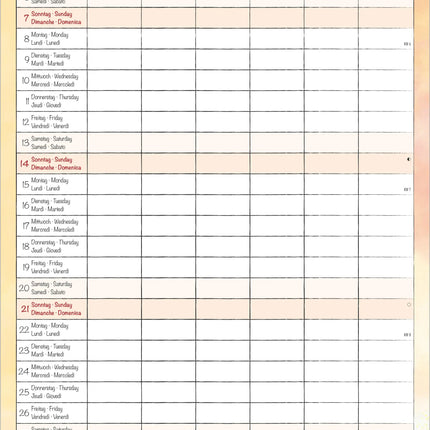 AlphaEdition Familyplanner Cartoon Kalender 2027