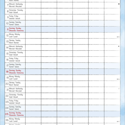 AlphaEdition Familyplanner Cartoon Kalender 2027