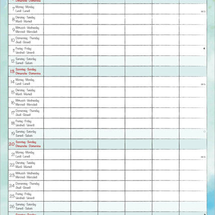 AlphaEdition Familyplanner Cartoon Kalender 2027