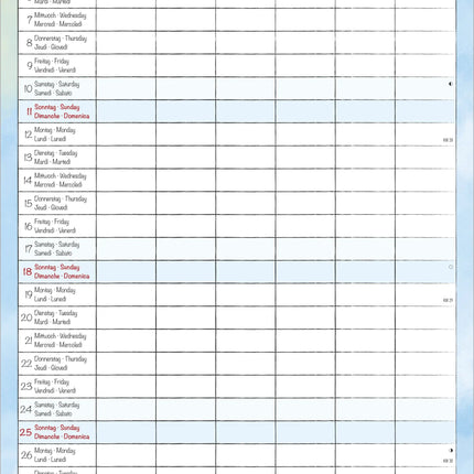 AlphaEdition Familyplanner Cartoon Kalender 2027