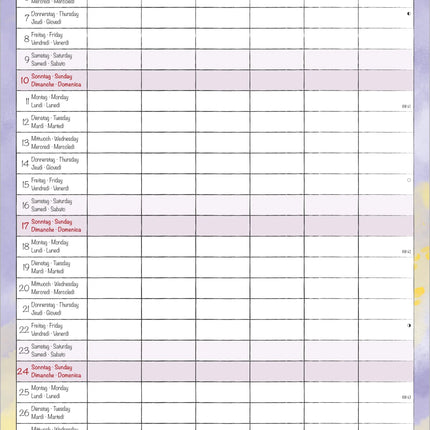 AlphaEdition Familyplanner Cartoon Kalender 2027