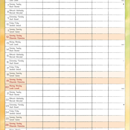 AlphaEdition Familyplanner Cartoon Kalender 2027