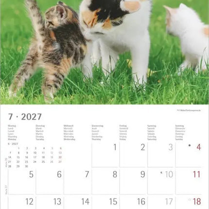 AlphaEdition Fluweelzachte Pootjes Kalender 2027