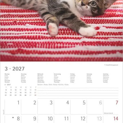 AlphaEdition Fluweelzachte Pootjes Kalender 2027