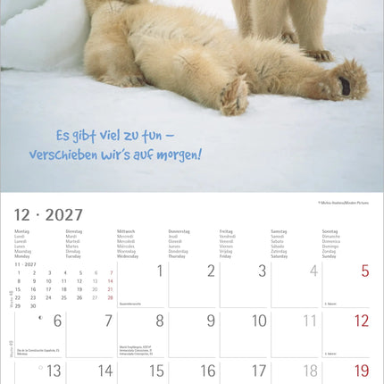 AlphaEdition Funny Animals Kalender 2027