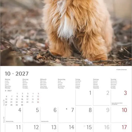 AlphaEdition Honden Kalender 2027