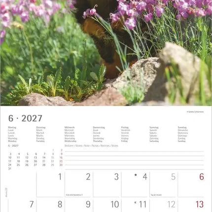 AlphaEdition Honden Kalender 2027