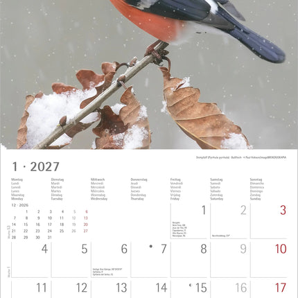 AlphaEdition Inheemse Vogels Kalender 2027