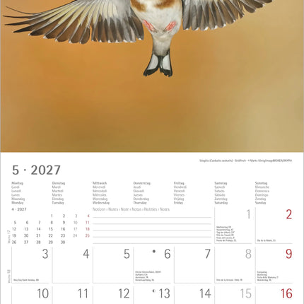 AlphaEdition Inheemse Vogels Kalender 2027