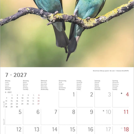 AlphaEdition Inheemse Vogels Kalender 2027