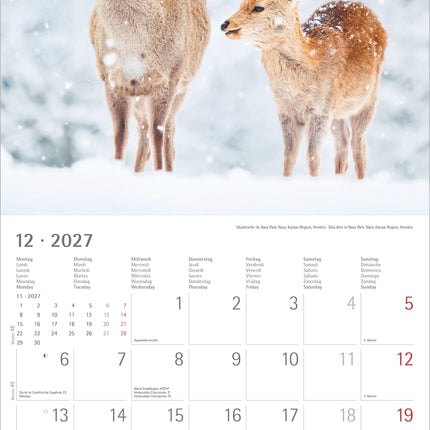 AlphaEdition Japan Kalender 2027