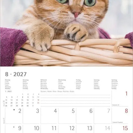 AlphaEdition Katten Kalender 2027