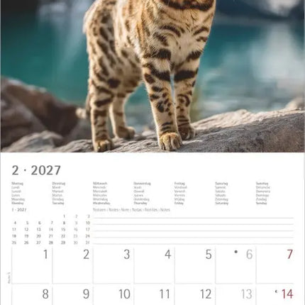 AlphaEdition Katten Kalender 2027
