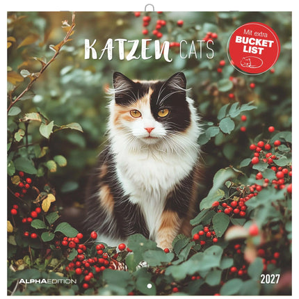 AlphaEdition Katten Kalender 2027