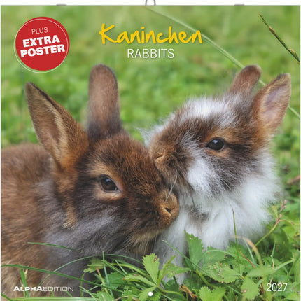 AlphaEdition Konijnen Kalender 2027