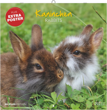 AlphaEdition Konijnen Kalender 2027